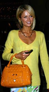Paris Hilton Orange Handbag Paris Hilton Orange Handbag