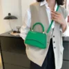 Vegan Leather Woven Handle Flap Bag 4